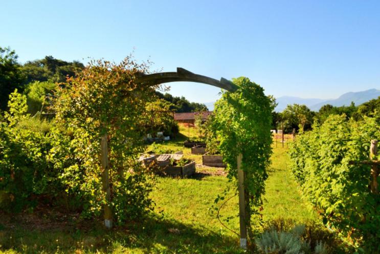 Bed and Breakfast La Voureyline