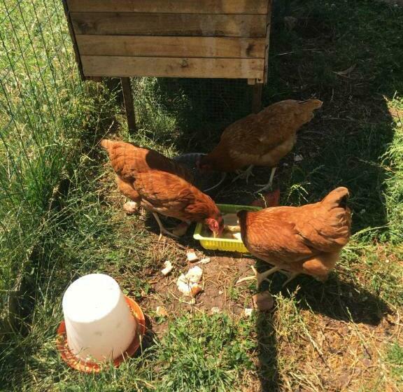 צימר Le Grand Coudreau