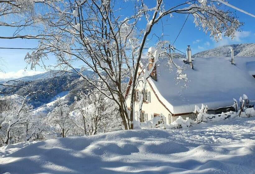 민박 Le Nid Du Kaloui