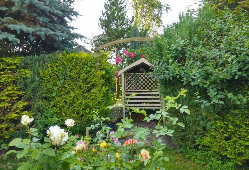 Bed and Breakfast Mountain Ash