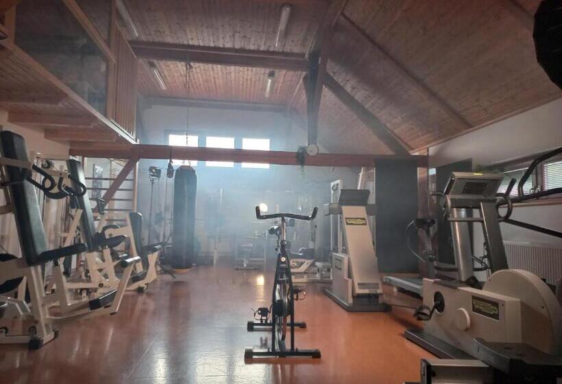 تختخواب و صبحانه Sobe Levc