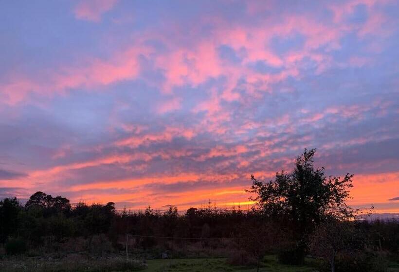 Cosy & Rustic Retreat   Woodland Cottage
