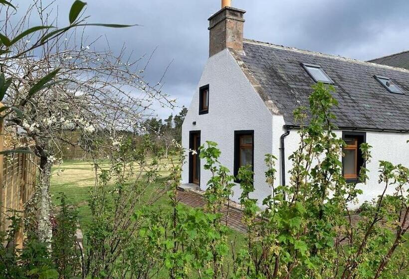 Cosy & Rustic Retreat   Woodland Cottage