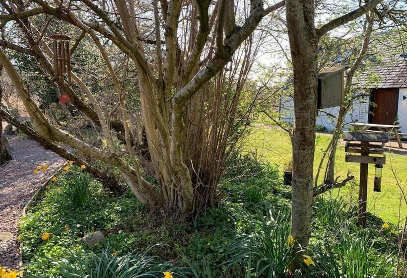 Cosy & Rustic Retreat   Woodland Cottage