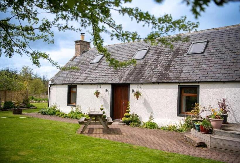 Cosy & Rustic Retreat   Woodland Cottage