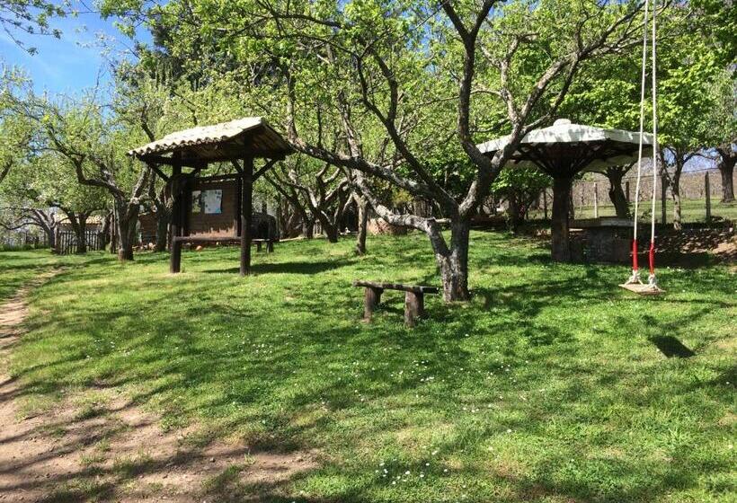 בית מלון כפרי Agriturismo Carrozzino