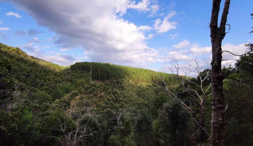 בית מלון כפרי Agriturismo Carrozzino