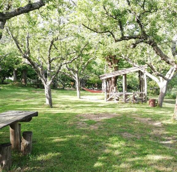 בית מלון כפרי Agriturismo Carrozzino