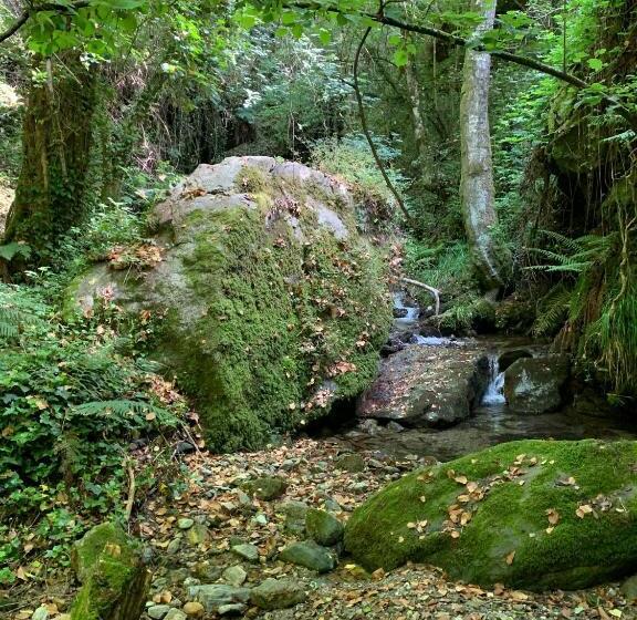 בית מלון כפרי Agriturismo Carrozzino