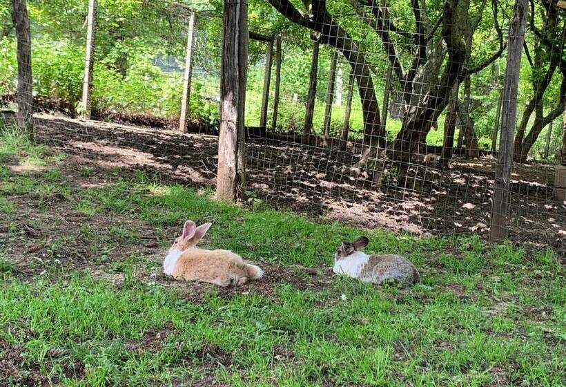 בית מלון כפרי Agriturismo Carrozzino