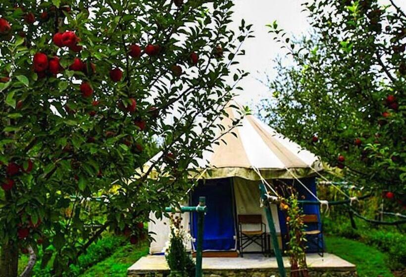 ホテル Banjara Camp And Retreat Sangla