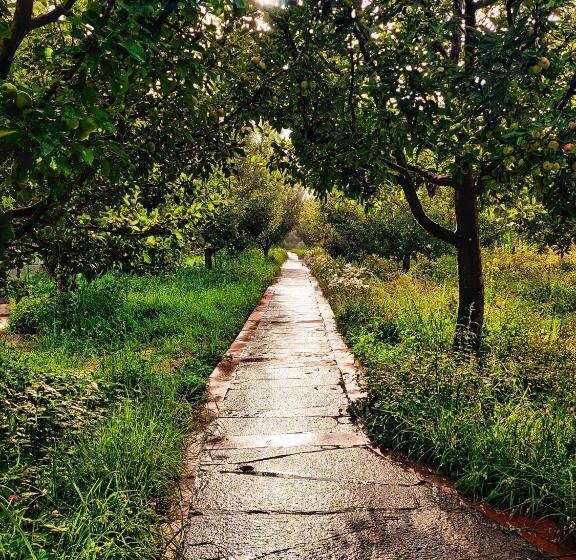 ホテル Banjara Camp And Retreat Sangla