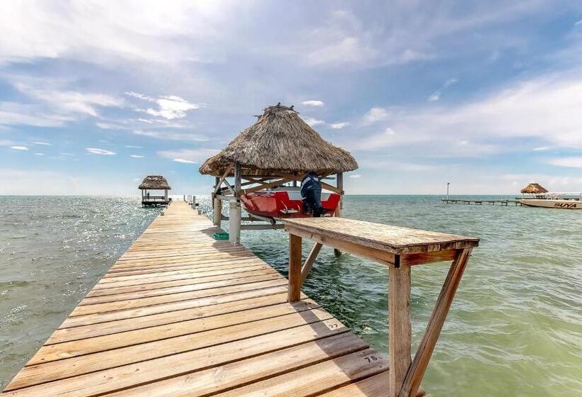 Отель Caribe Island Studio #2