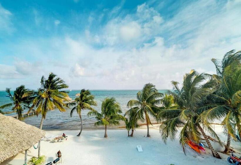 Отель Caribe Island Studio #2