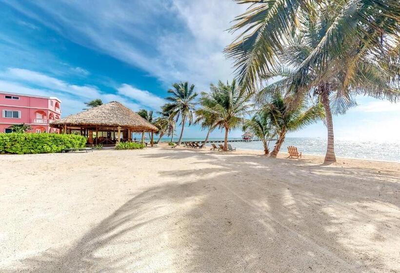 Отель Caribe Island Studio #2