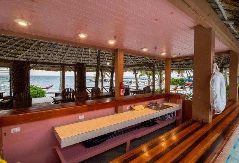 Отель Caribe Island Studio #2