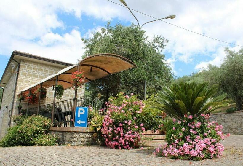 Отель Casale Degli Ulivi