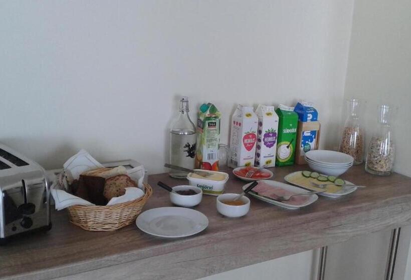 هتل Glæsibær 2 Guesthouse And Horsefarm