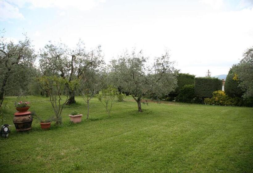 ホテル Il Fornello