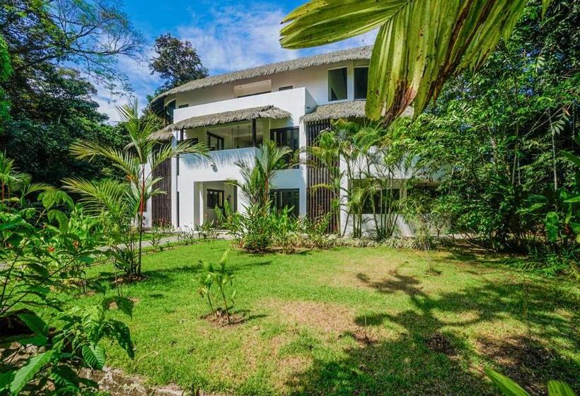 فندق Makara Toucan Suite / 2nd Floor