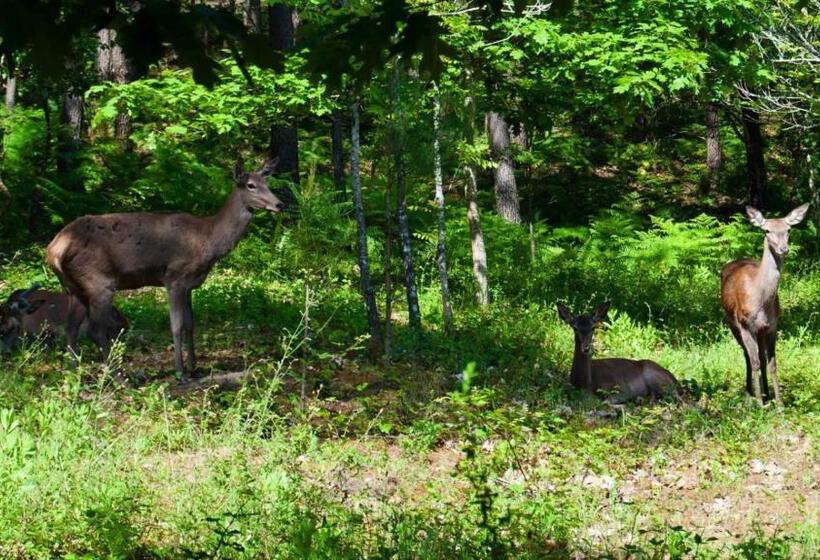 Отель Quinta Da Serrana