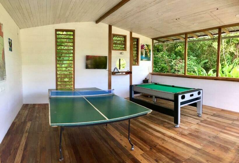 酒店 Rema K A Y A K Lodge