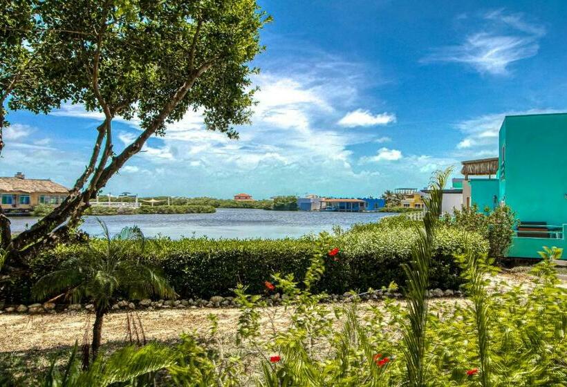 בית מלון כפרי Suite B103 Mara Laguna