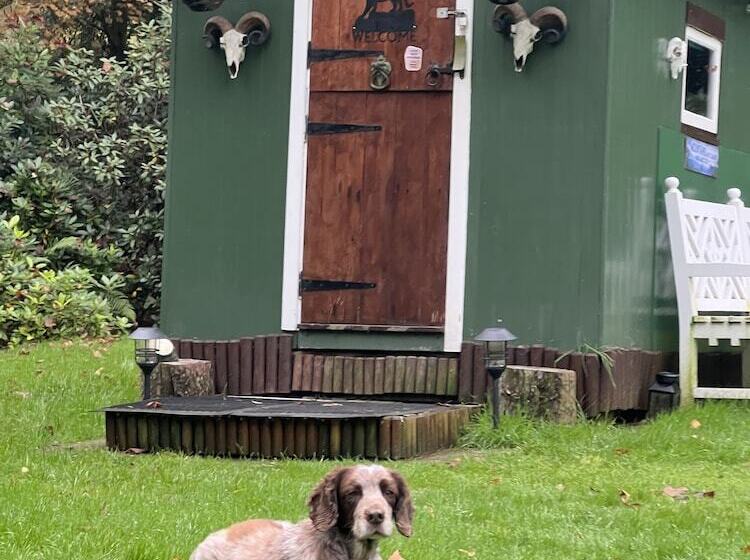 בית מלון כפרי West Highland Way