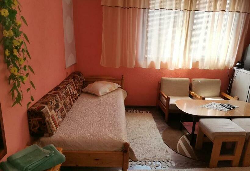 بنسيون къща за гости боневи