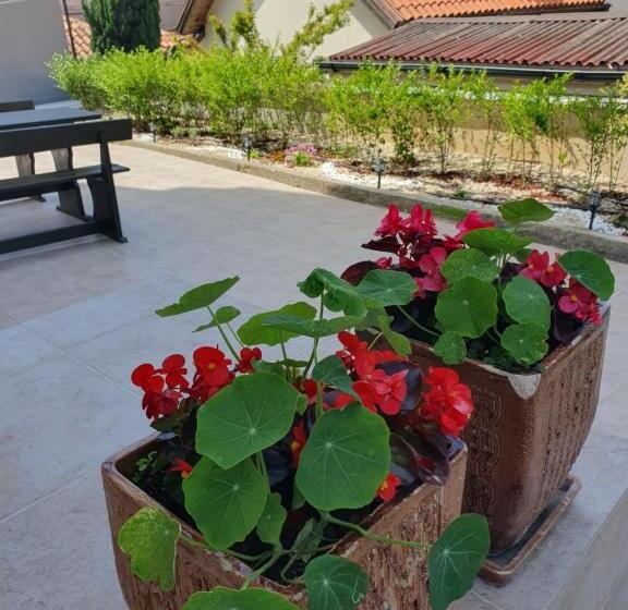 Pensiune студия лилия