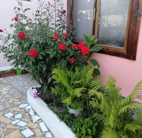 Пансион Casa Ancora Sulina