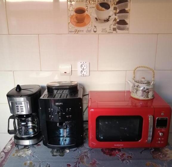 Пансион Casa Ancora Sulina