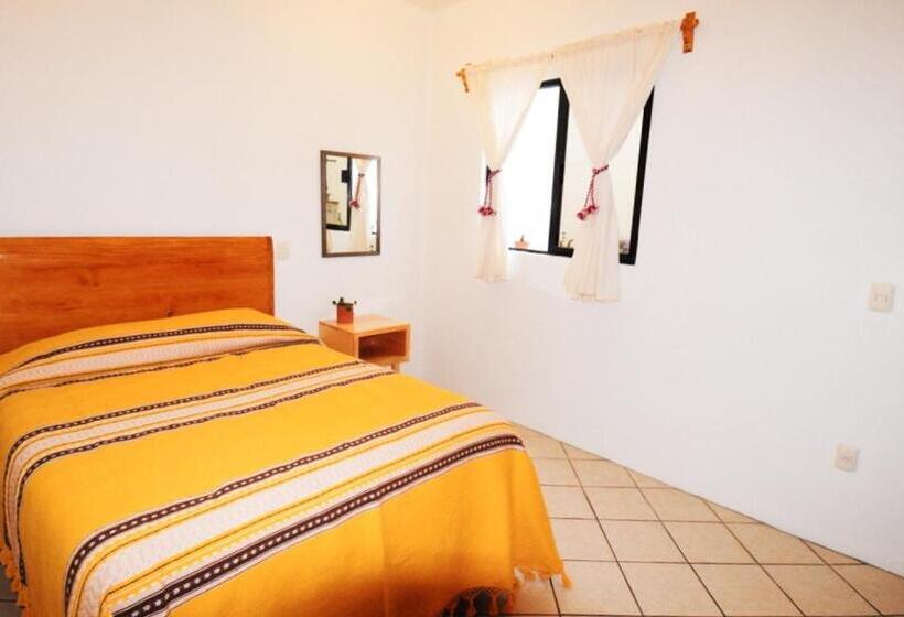 پانسیون Casa Gecko