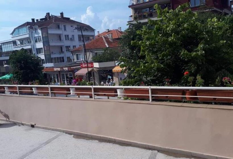 بنسيون Despina