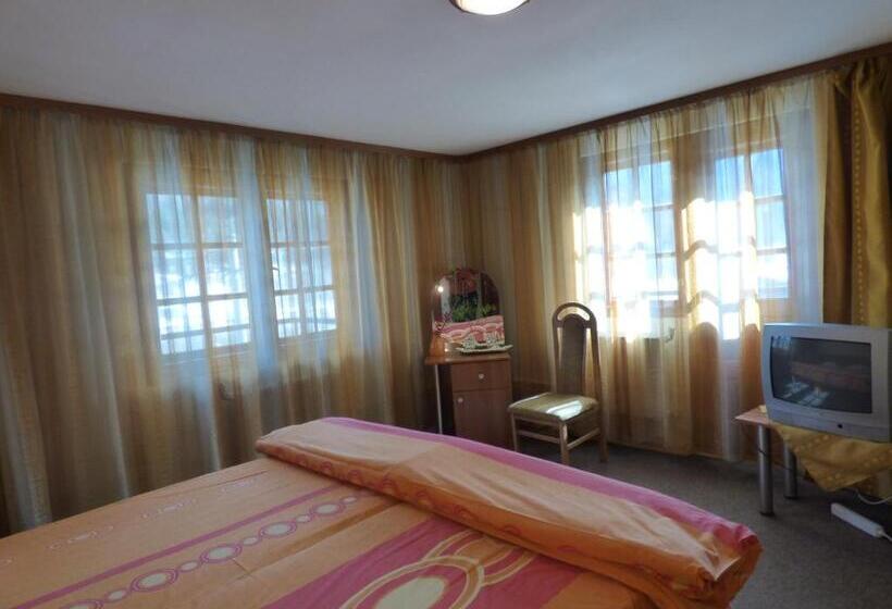 ペンション Gura Padurii