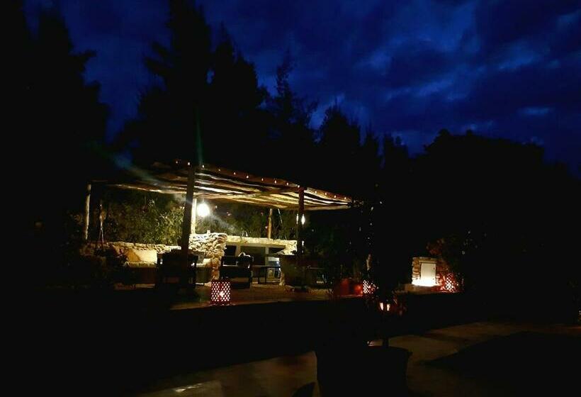 بنسيون Libert Art