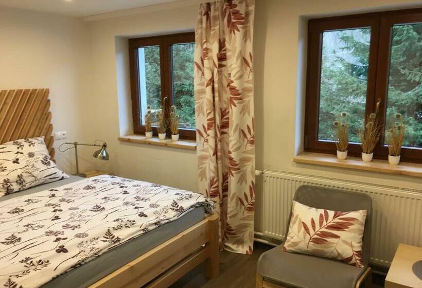 פנסיון Penzion Rehek