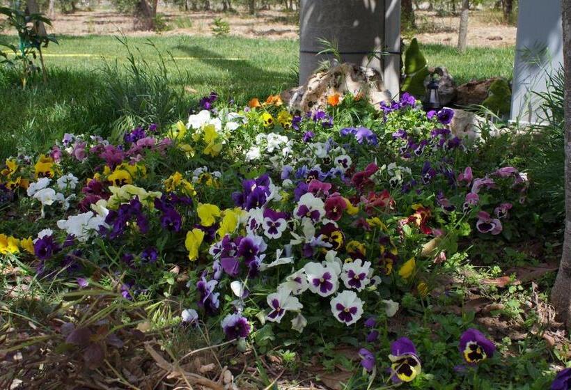 膳宿费 Scuderie Del Cavaliere Delle Gravine