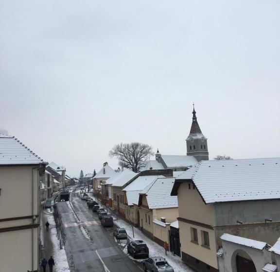 膳宿费 Sub Cetate