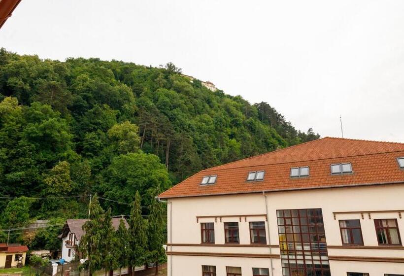 膳宿费 Sub Cetate