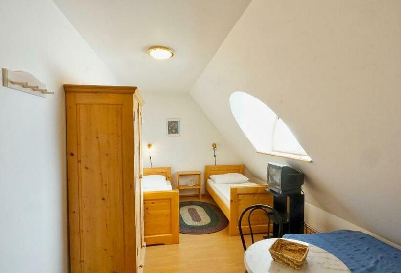 ペンション Vila Křenov