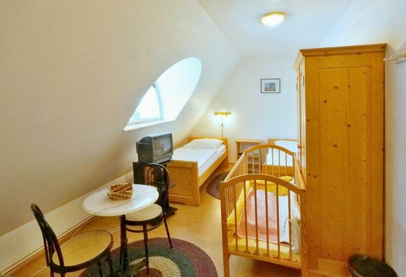 ペンション Vila Křenov