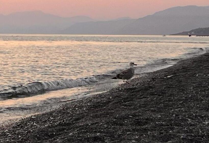 膳宿费 White Room