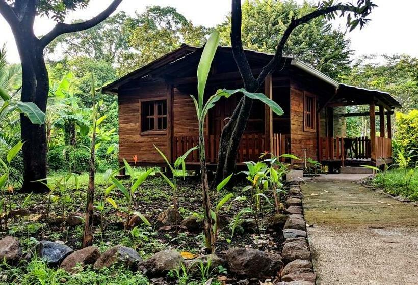 ペンション Wood Cabin   Cabana Maderas