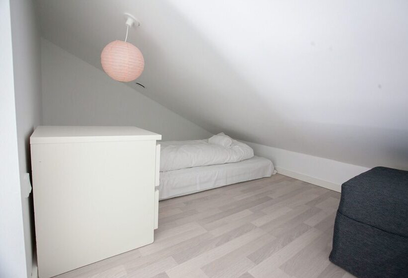 Stadium / Central / Park / Art Gallery