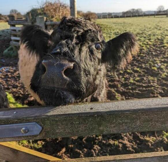 West Moor View Apartment