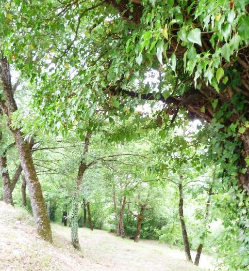 B&b Colle Di Terria Country House