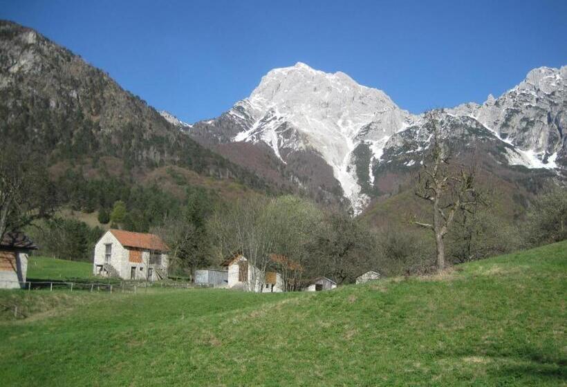 B&b L Asinello Rampante