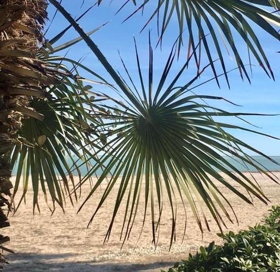 تختخواب و صبحانه Alloro Marino