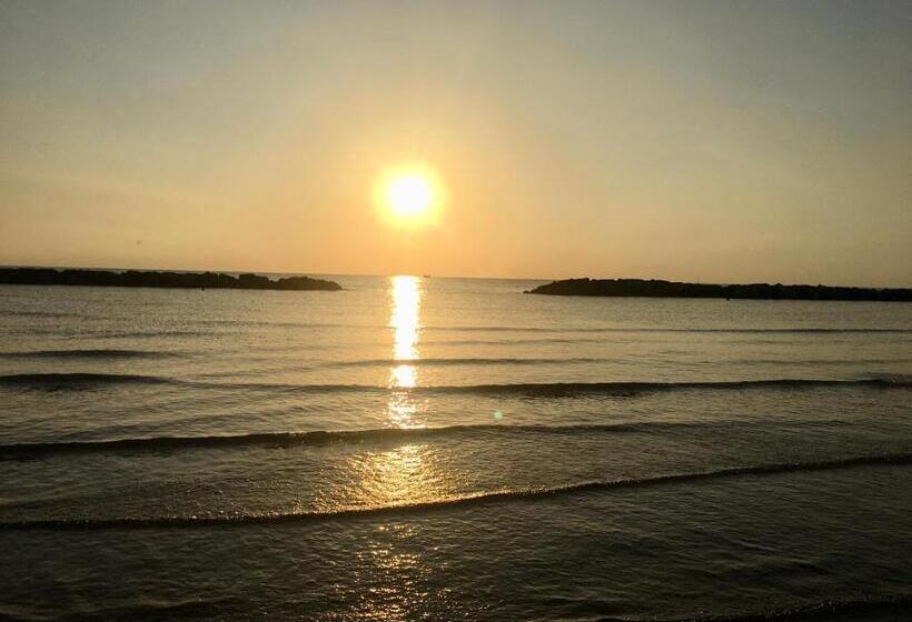 تختخواب و صبحانه Alloro Marino